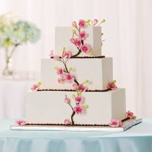 100 Best Publix Wedding Cakes Images Publix Wedding Cake Wedding Cakes Wedding