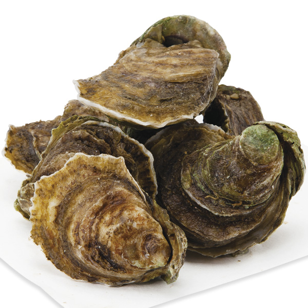 Vol. 10 No. 7 / Dockside and Wholesale Prices of Oysters 