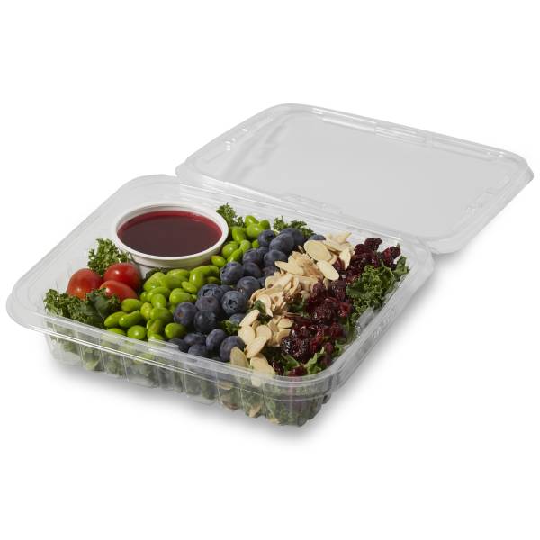 Publix Deli Grab & Go Salad, Kale and Berry Salad : Publix.com