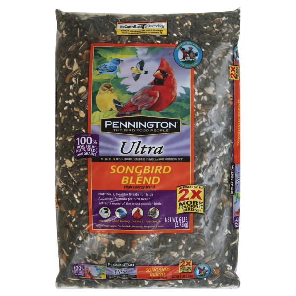 pennington songbird food