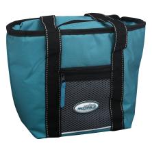 publix insulated cooler bag